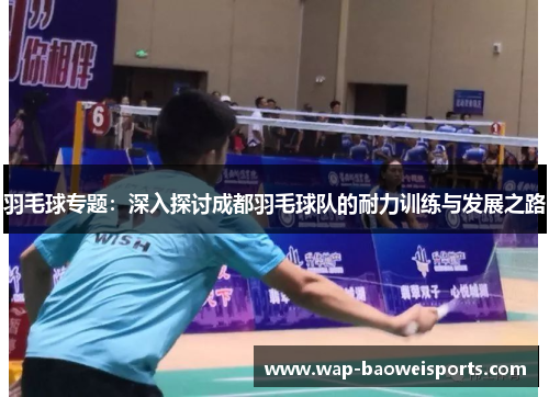 羽毛球专题：深入探讨成都羽毛球队的耐力训练与发展之路
